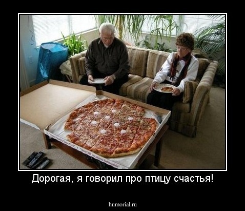 Дорогая, я говорил про птицу счастья!