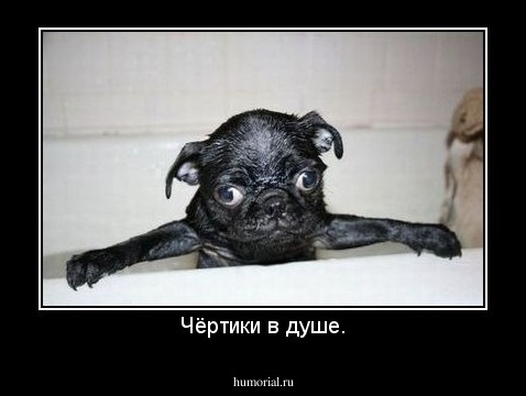 Чёртики в душе.