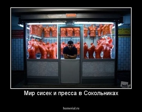 Мир сисек и пресса в Сокольниках