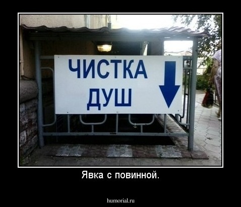 Явка с повинной.