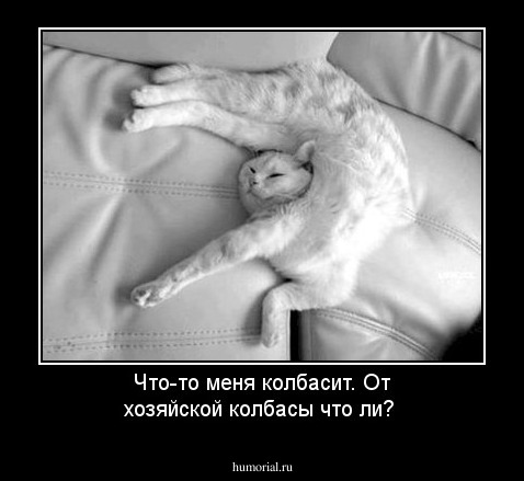 Что-то меня колбасит. От хозяйской колбасы что ли?