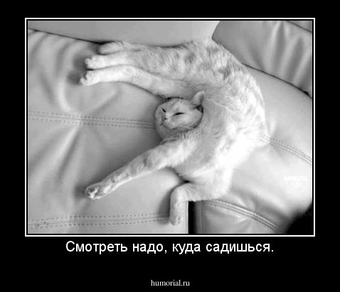 Смотреть надо, куда садишься.