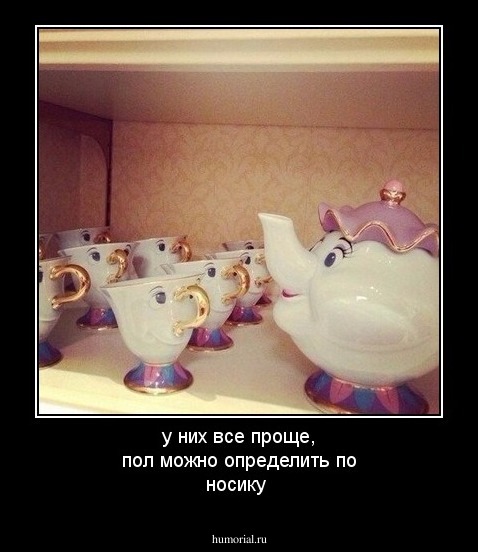 у них все проще, пол можно определить по носику