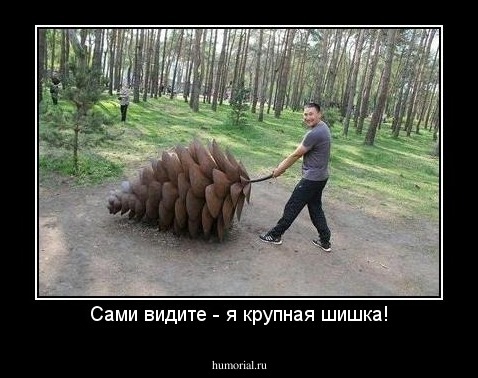 Сами видите - я крупная шишка!
