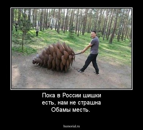 Пока в России шишки есть, нам не страшна Обамы месть.