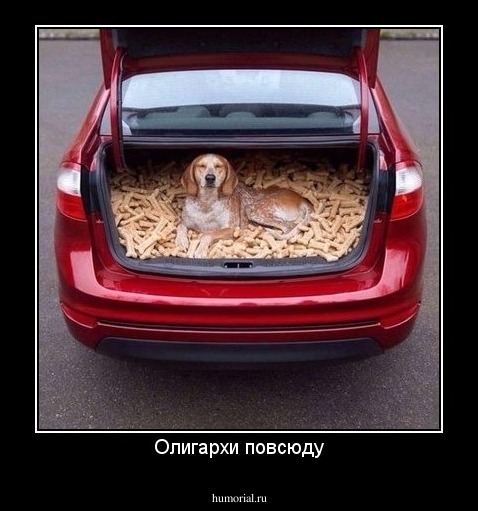Олигархи повсюду