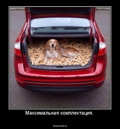 Максимальная комплектация. 