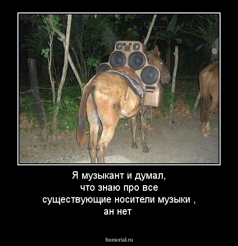 Я  музыкант  и  думал, что  знаю про все существующие носители музыки  , ан нет