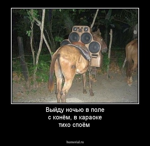 Выйду ночью в поле  с конём,  в  караоке  тихо  споём 