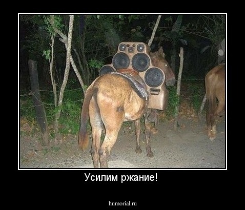 Усилим ржание! 