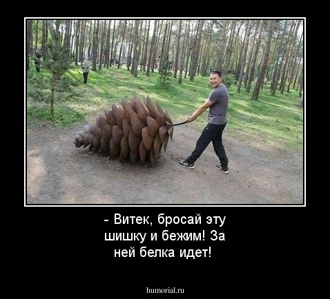 - Витек, бросай эту шишку и бежим! За ней белка идет!