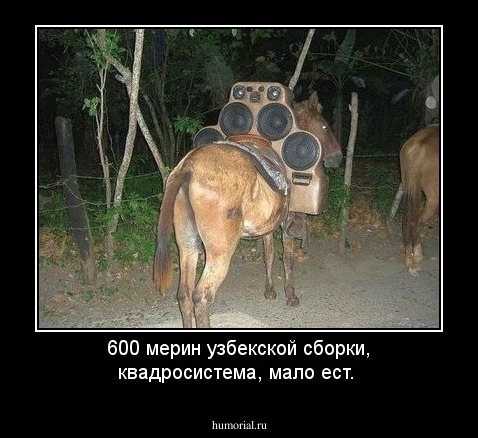 600 мерин узбекской сборки, квадросистема, мало ест.
