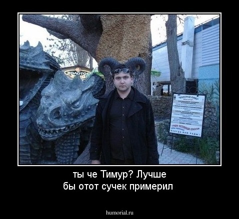 ты че Тимур? Лучше бы отот сучек примерил