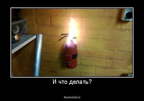 И что делать?