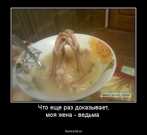 Что еще раз доказывает, моя жена - ведьма