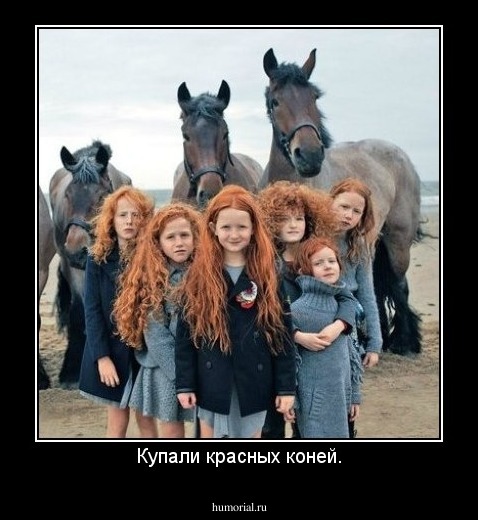 Купали красных коней.