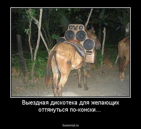 Выездная дискотека для желающих оттянуться по-конски...