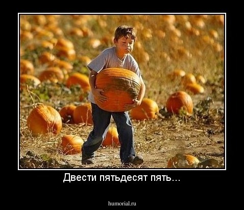Двести пятьдесят пять...