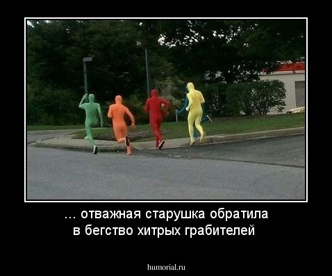 ... отважная старушка обратила в бегство хитрых грабителей