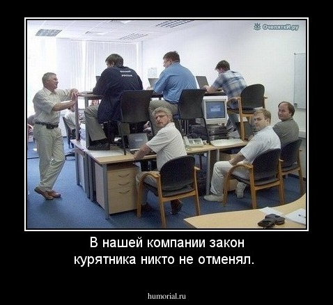 В нашей компании закон курятника никто не отменял.