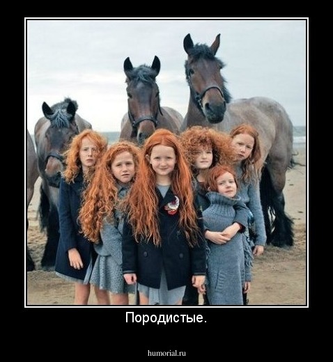 Породистые.