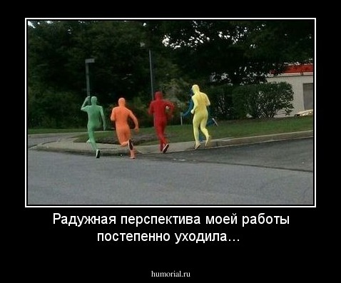 Радужная перспектива моей работы постепенно уходила...