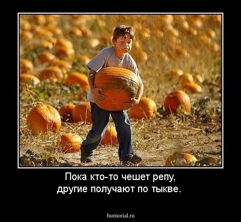 Пока кто-то чешет репу, другие получают по тыкве.