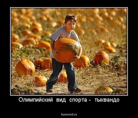 Олимпийский  вид  спорта -  тыквандо