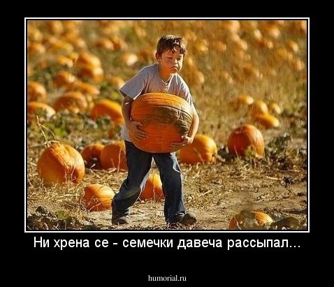 Ни хрена се - семечки давеча рассыпал...