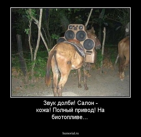 Звук долби! Салон - кожа! Полный привод! На биотопливе...