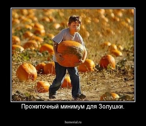 Прожиточный минимум для Золушки.