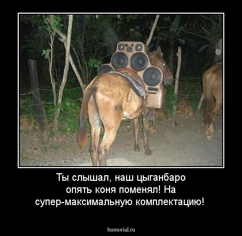Ты слышал, наш цыганбаро опять коня поменял! На супер-максимальную комплектацию!