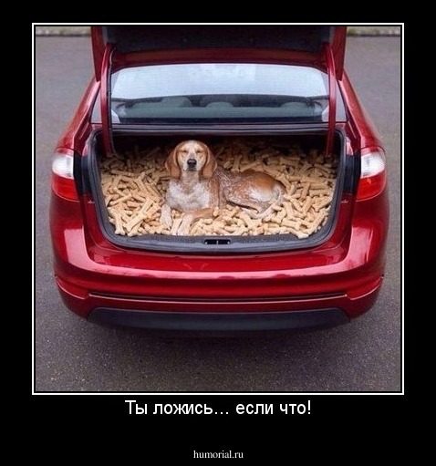 Ты ложись... если что!