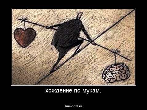 хождение по мукам.