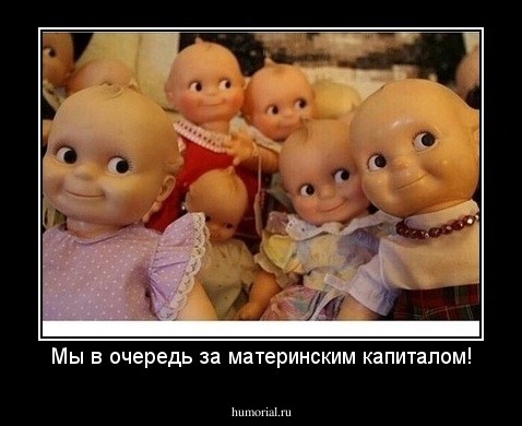 Мы в очередь за материнским капиталом!