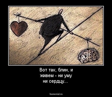 Вот так, блин, и живем - ни уму ни сердцу...