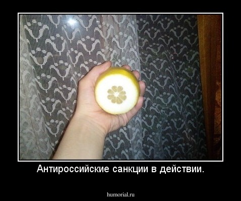 Антироссийские санкции в действии.