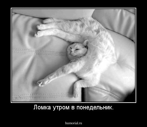 Ломка утром в понедельник.