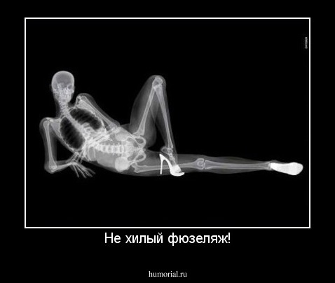 Не хилый фюзеляж!
