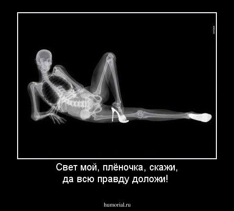 Свет мой, плёночка, скажи, да всю правду доложи!