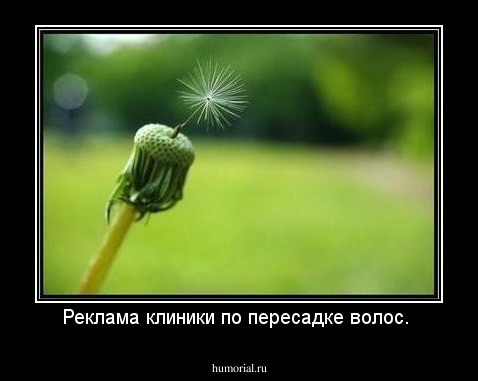 Реклама клиники по пересадке волос. 