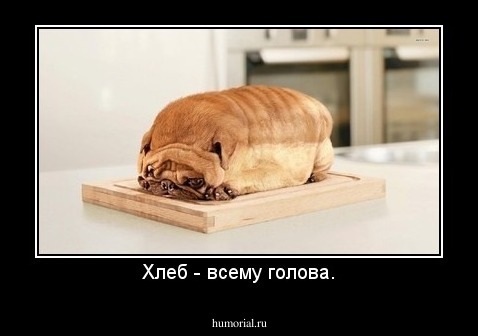 Хлеб - всему голова.