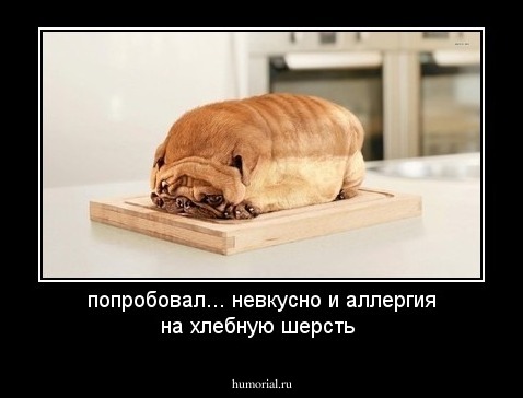 попробовал... невкусно и аллергия на хлебную шерсть