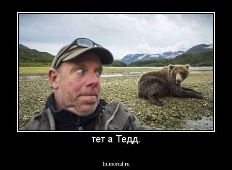тет а Тедд.