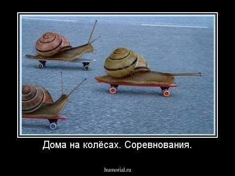 Дома на колёсах. Соревнования.