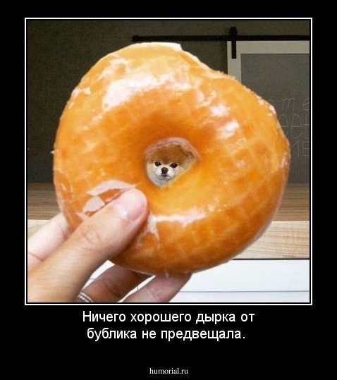 Ничего хорошего дырка от бублика не предвещала.