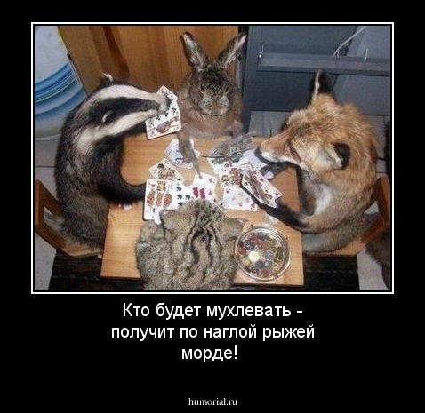  Кто  будет мухлевать - получит по наглой рыжей морде!