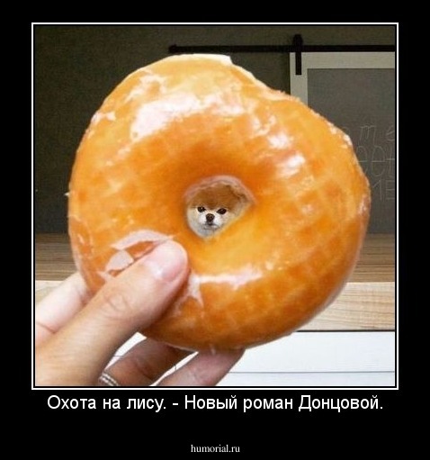 Охота на лису. - Новый роман Донцовой.