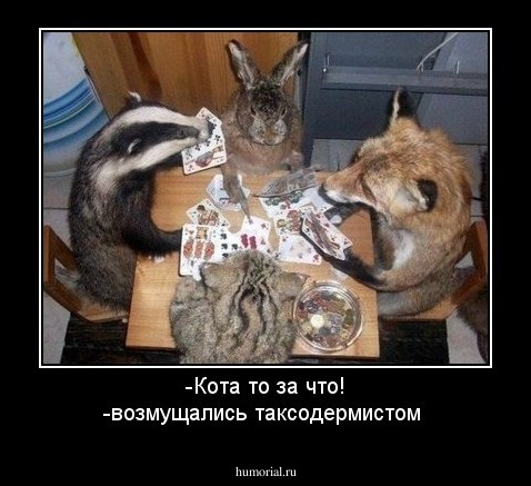 -Кота то за  что! -возмущались таксодермистом