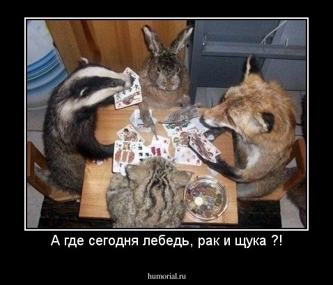 А где сегодня лебедь, рак и щука ?!